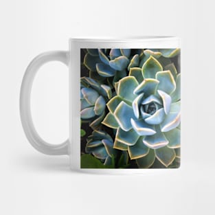 Above the Succulents Mug